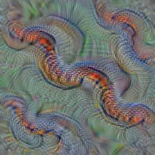 n01734418 king snake, kingsnake